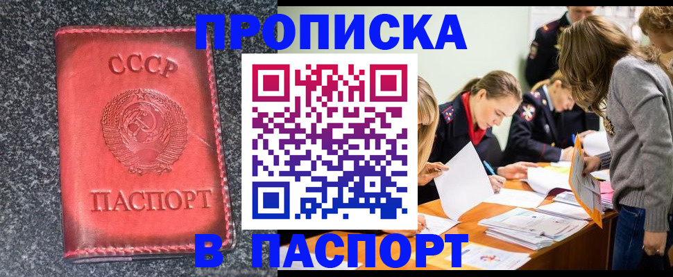 прописка для школы в Яхроме